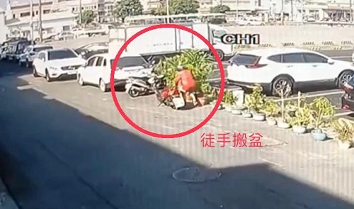 神秘人偷神秘果盆栽　警方揪出幕後藏鏡人2
